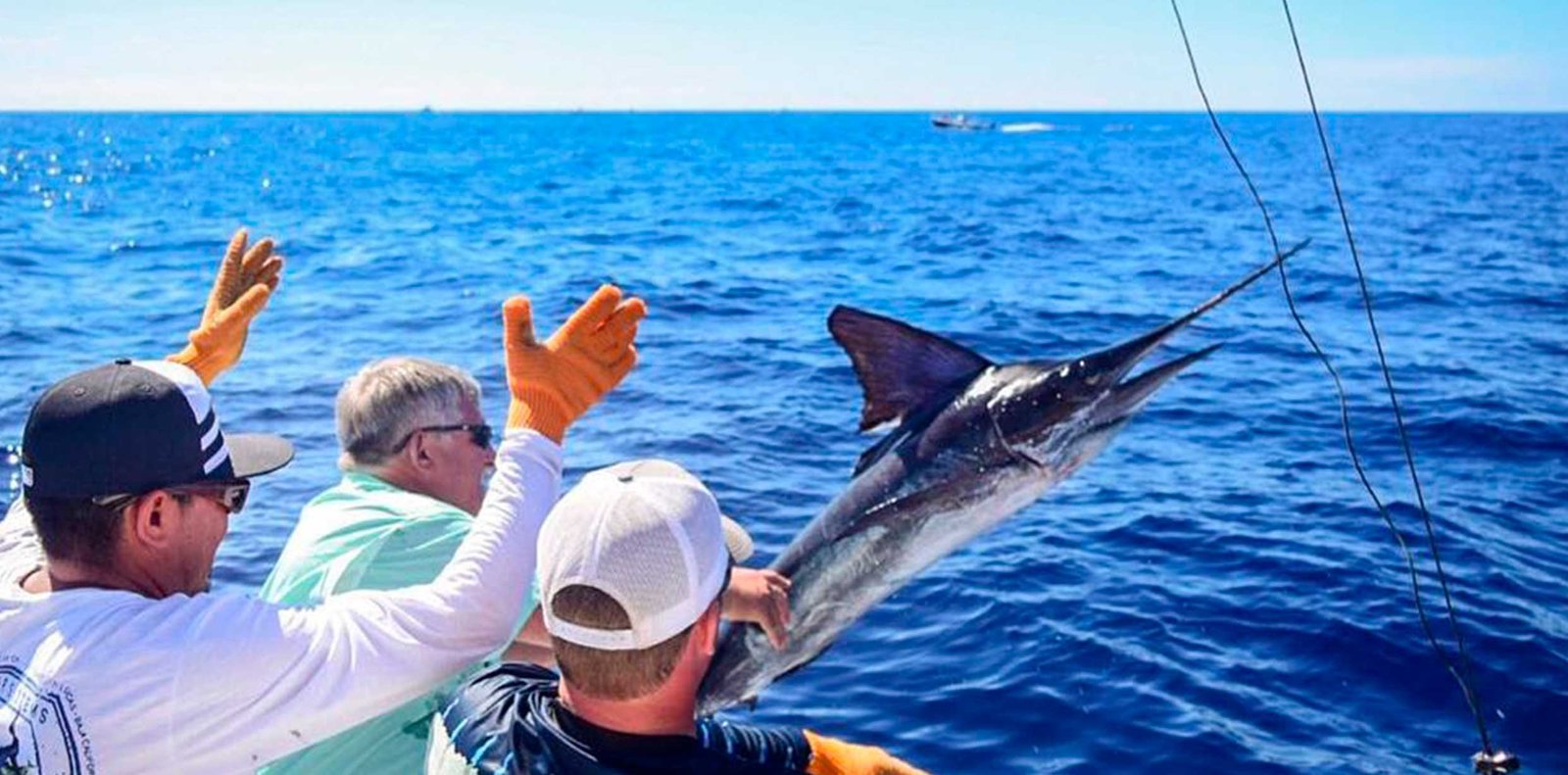 cabo-sportfishing-charters-boats-baja