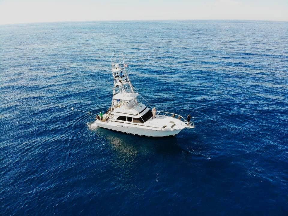50´ Bertram "Fintastic" - fishing charter in Cabo San Lucas